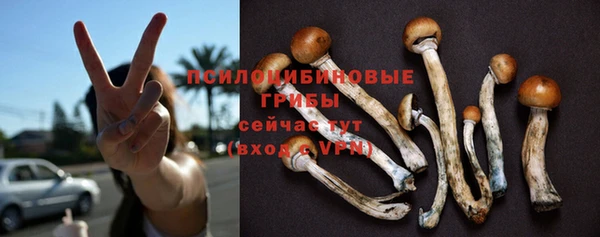крисы Абинск