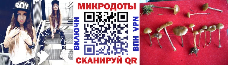 Галлюциногенные грибы Psilocybe  блэк спрут   Трёхгорный  даркнет сайт 
